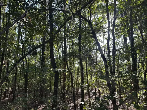 A1 Stewart Road, Baker, FL 32531 photo 2