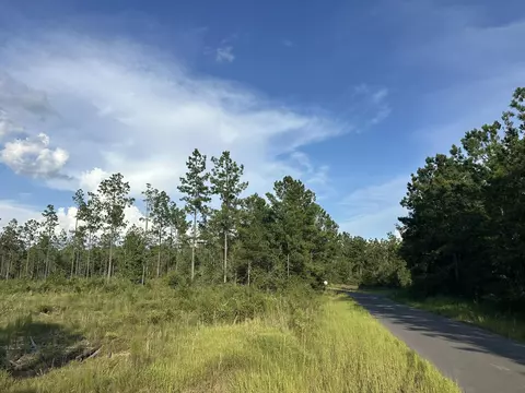 A1 Stewart Road, Baker, FL 32531 photo 7