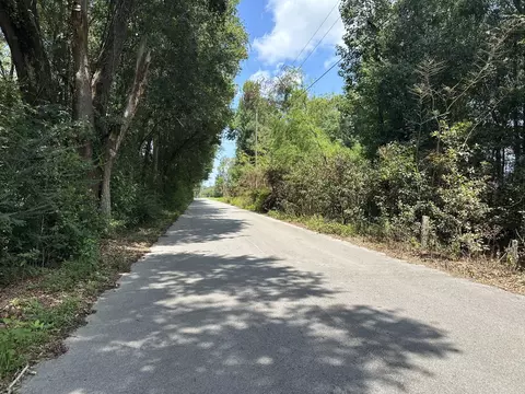 31 Ac Cooper Ln, Holt, FL 32564 photo 14