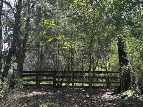 31 Ac Cooper Ln, Holt, FL 32564 photo 4