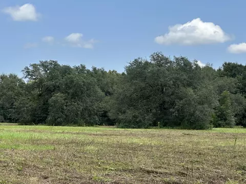 31 Ac Cooper Ln, Holt, FL 32564 photo 17