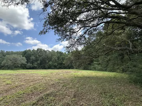 31 Ac Cooper Ln, Holt, FL 32564 photo 7