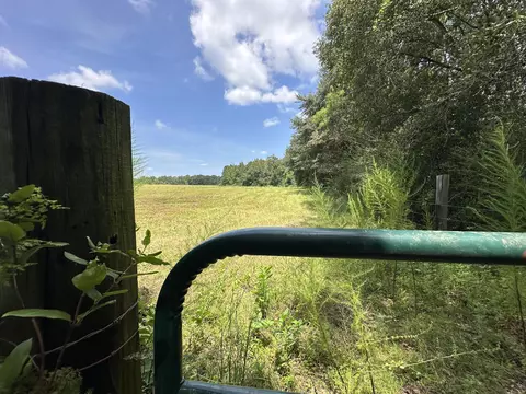 31 Ac Cooper Ln, Holt, FL 32564 photo 8