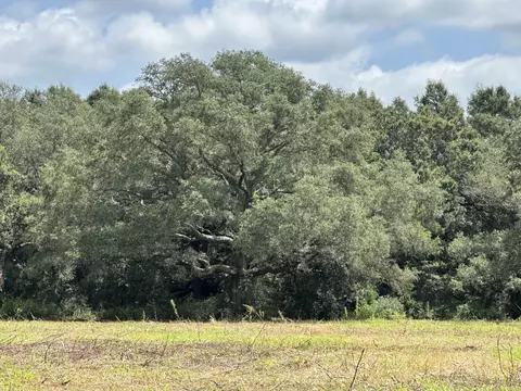31 Ac Cooper Ln, Holt, FL 32564 photo 21