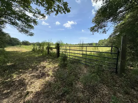 31 Ac Cooper Ln, Holt, FL 32564 photo 3