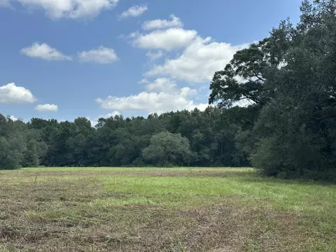 31 Ac Cooper Ln, Holt, FL 32564 photo 18