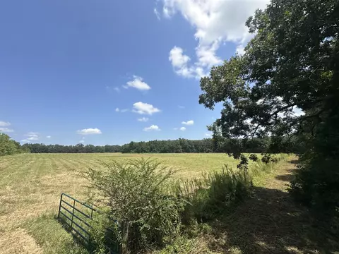 31 Ac Cooper Ln, Holt, FL 32564 photo 27
