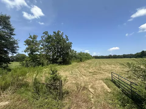 31 Ac Cooper Ln, Holt, FL 32564 photo 26
