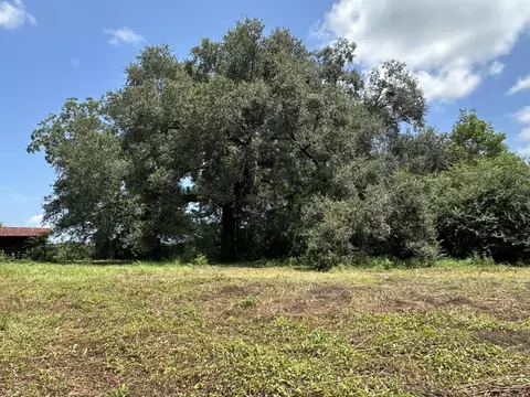 31 Ac Cooper Ln, Holt, FL 32564 photo 20