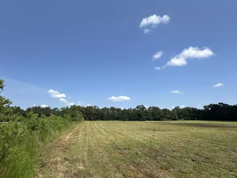 31 Ac Cooper Ln, Holt, FL 32564 photo 30