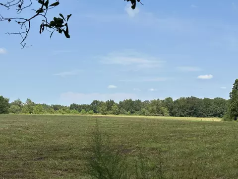 31 Ac Cooper Ln, Holt, FL 32564 photo 5