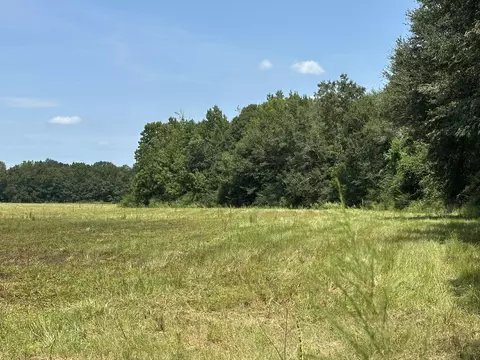 31 Ac Cooper Ln, Holt, FL 32564 photo 15