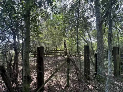 31 Ac Cooper Ln, Holt, FL 32564 photo 24