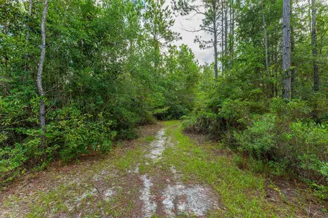 42 S Sunset Harbour, Freeport, FL 32439 photo 29