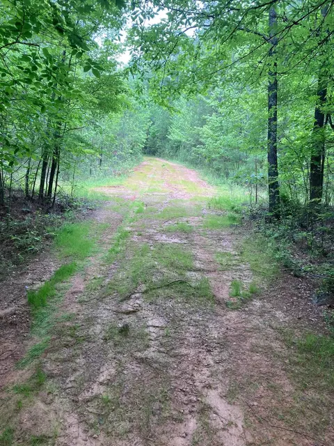 2354 Elders Mill Rd, See Remarks, FL photo 10