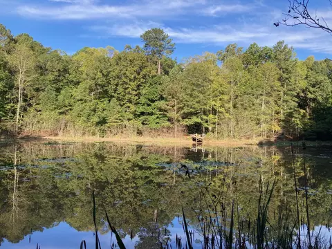 2354 Elders Mill Rd, See Remarks, FL