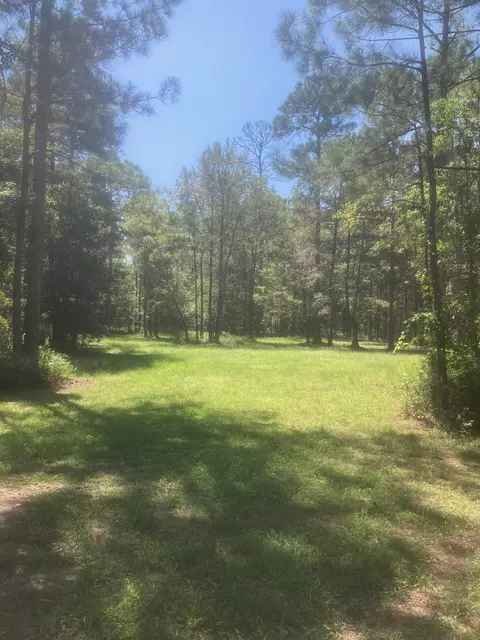 000 Jolly Bay Rd, Freeport, FL 32439 photo 5