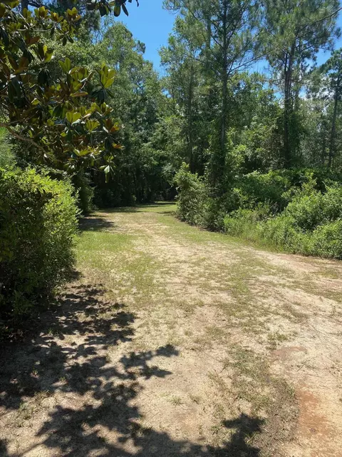 000 Jolly Bay Rd, Freeport, FL 32439 photo 2