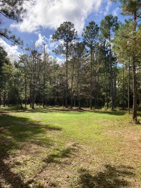 000 Jolly Bay Rd, Freeport, FL 32439 photo 6