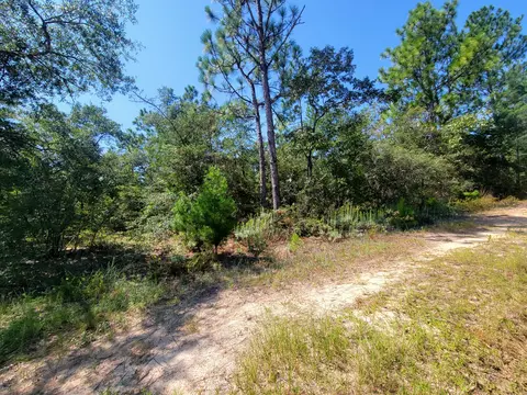 1 Ac Margaret Blvd, Defuniak Springs, FL 32433