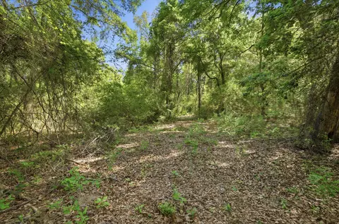 tbd Hilton Trl, Baker, FL 32531 photo 8