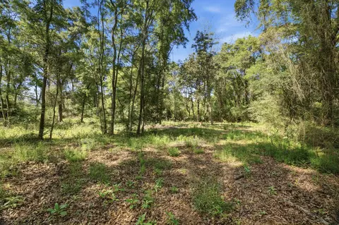 tbd Hilton Trl, Baker, FL 32531 photo 10