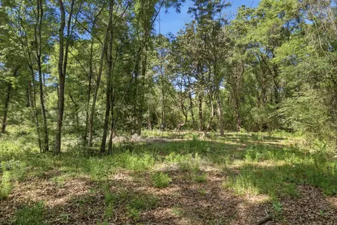 tbd Hilton Trl, Baker, FL 32531 photo 12