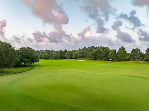 Other - tbd Suwannee Dr #LOT 1, Watersound, FL 32461 photo 3 of 3