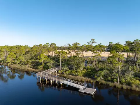 View/Area - tbd Suwannee Dr #LOT 1, Watersound, FL 32461 photo 8 of 8