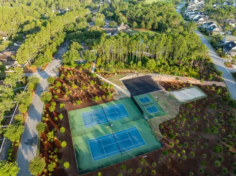 View/Area - tbd Suwannee Dr #LOT 55, Watersound, FL 32461 photo 5 of 7