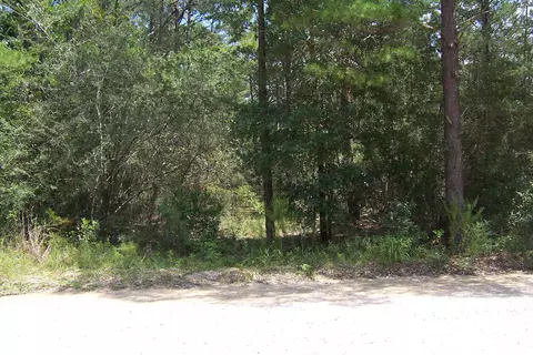 10 Ac Nowling Rd, Defuniak Springs, FL 32435