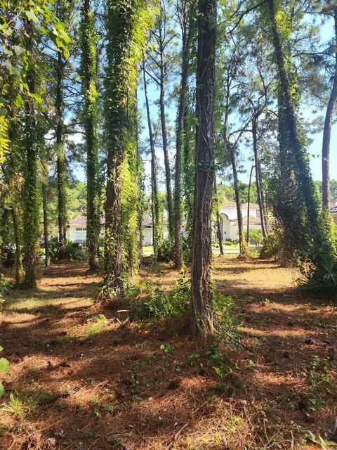 144 Indigo Loop, Miramar Beach, FL 32550 photo 3