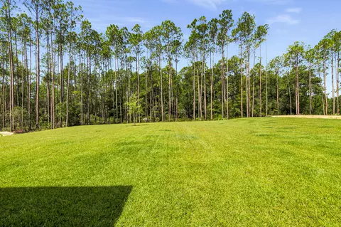 Exterior - 94 S Bentgrass Rd, Freeport, FL 32439 photo 7 of 8