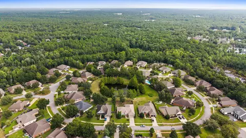 View/Area - 239 Mango Ln, Freeport, FL 32439 photo 4 of 9