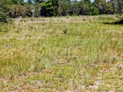 0000 Veterans Ln, Freeport, FL 32439 photo 4