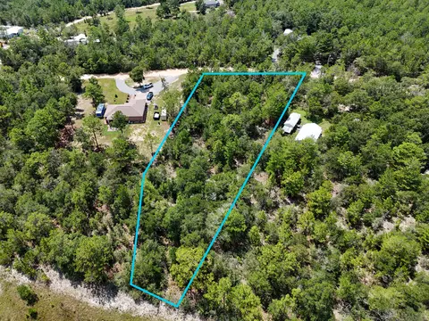 125 Acres Sibelius Dr, Defuniak Springs, FL 32433