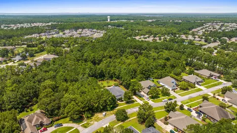View/Area - 110 Harmony Way, Freeport, FL 32439 photo 4 of 20