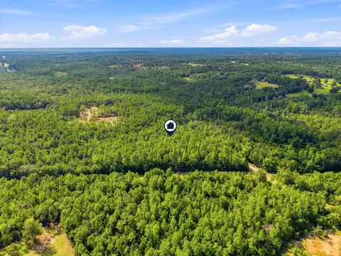 8 42 Acres Main Dr, Crestview, FL 32539 photo 10
