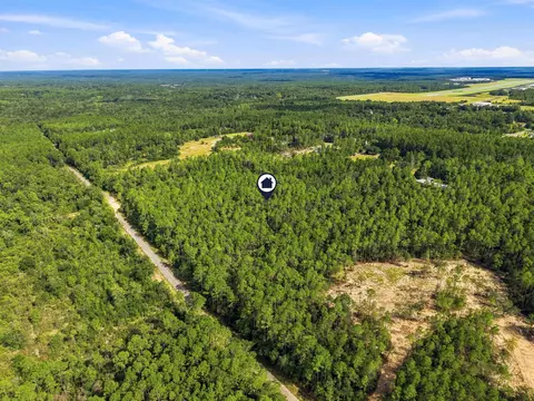 8 42 Acres Main Dr, Crestview, FL 32539 photo 4