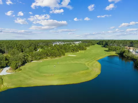 View/Area - 39 W Firethorn Cir, Watersound, FL 32461 photo 3 of 4