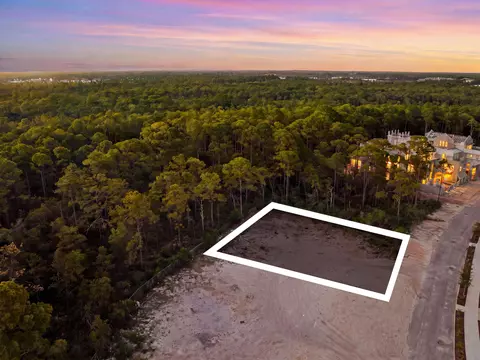 Cc9 Longtail Road, Alys Beach, FL 32461 photo 3