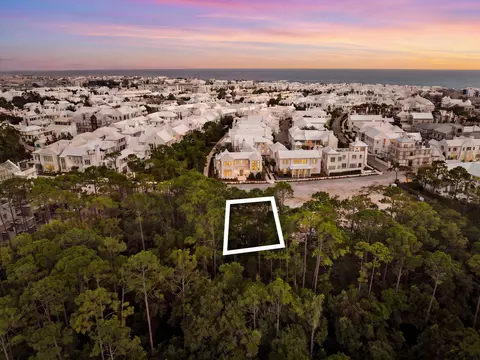 Cc9 Longtail Road, Alys Beach, FL 32461 photo 5
