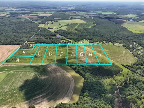 10 Acres H Davidson Rd, Defuniak Springs, FL 32433