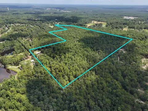 45 Acres John White Rd, Defuniak Springs, FL 32435