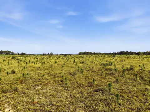 9 26acre A Co Hwy 2a Rd, Defuniak Springs, FL 32433