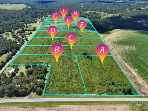 10 Acres B Co Hwy 2a Rd, Defuniak Springs, FL 32433