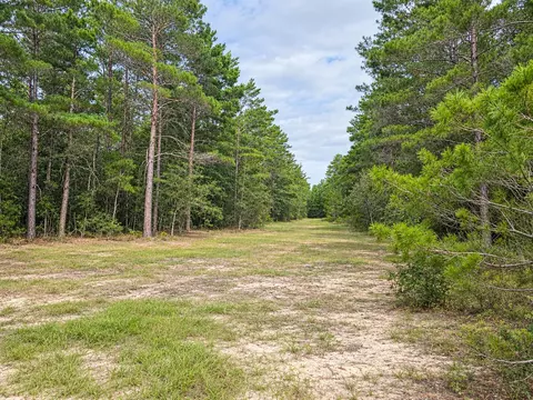 134 Post Oak Rd, Defuniak Springs, FL 32433