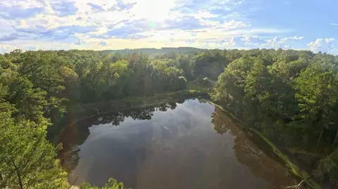 71 Acres Pouncey Dr, Florala, AL 36442