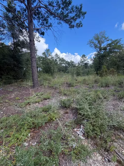 tbd E Picasso Cir, Defuniak Springs, FL 32433