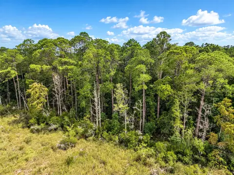 tbd County Highway 83a, Freeport, FL 32439 photo 6